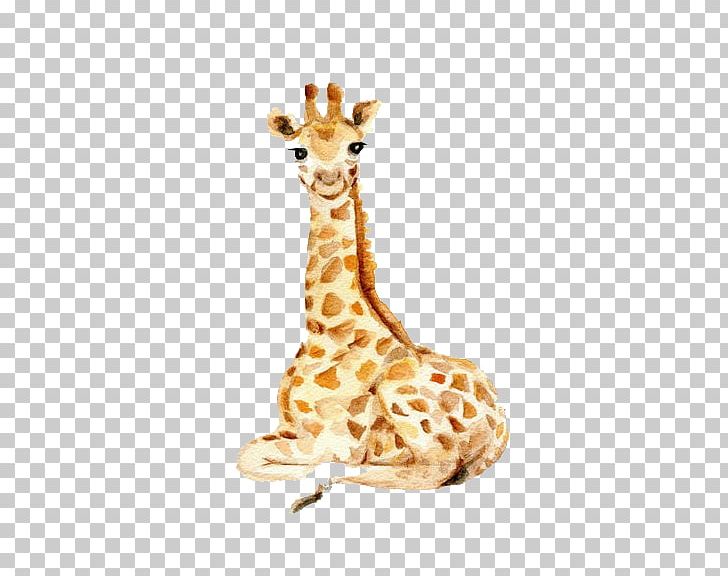 Giraffe Manor Drawing Watercolor Painting Animal PNG, Clipart, Animals, Avatar, Blog, Cartoon, Cartoon Giraffe Free PNG Download