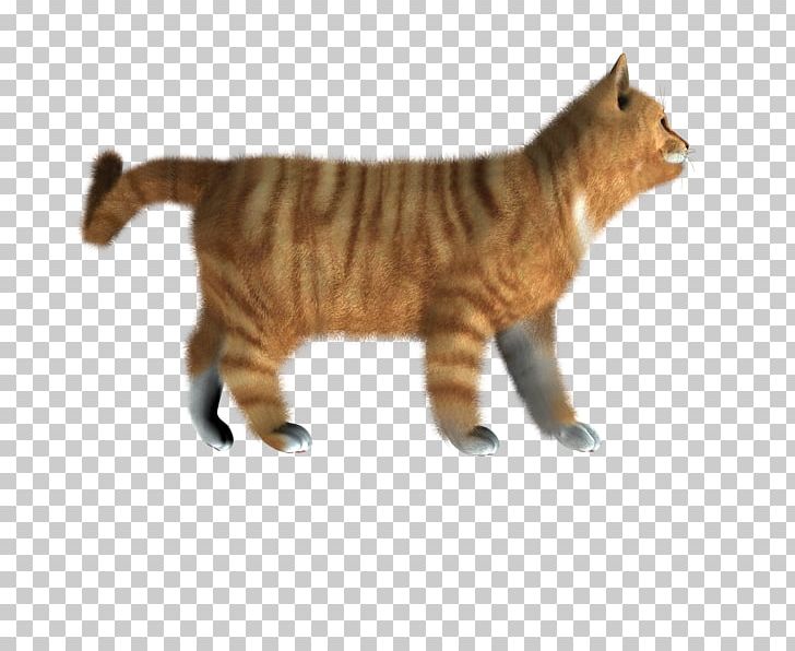 Manx Cat Toyger Adobe Acrobat PNG, Clipart, Carnivoran, Cat, Cat Like Mammal, Computer Icons, Domestic Short Haired Cat Free PNG Download