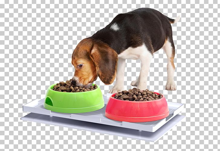 Cat Food Dog Ant Insect PNG, Clipart, Animals, Ant, Ant Proof Plate, Beagle, Bowl Free PNG Download