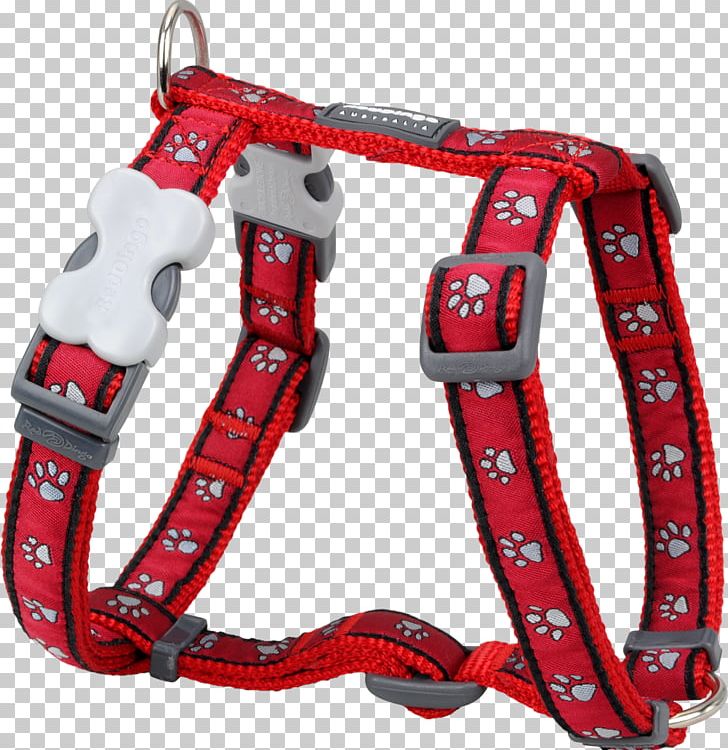 Dog Harness Dingo Puppy Dog Collar PNG, Clipart, Animals, Collar, Dingo, Dog, Dog Collar Free PNG Download