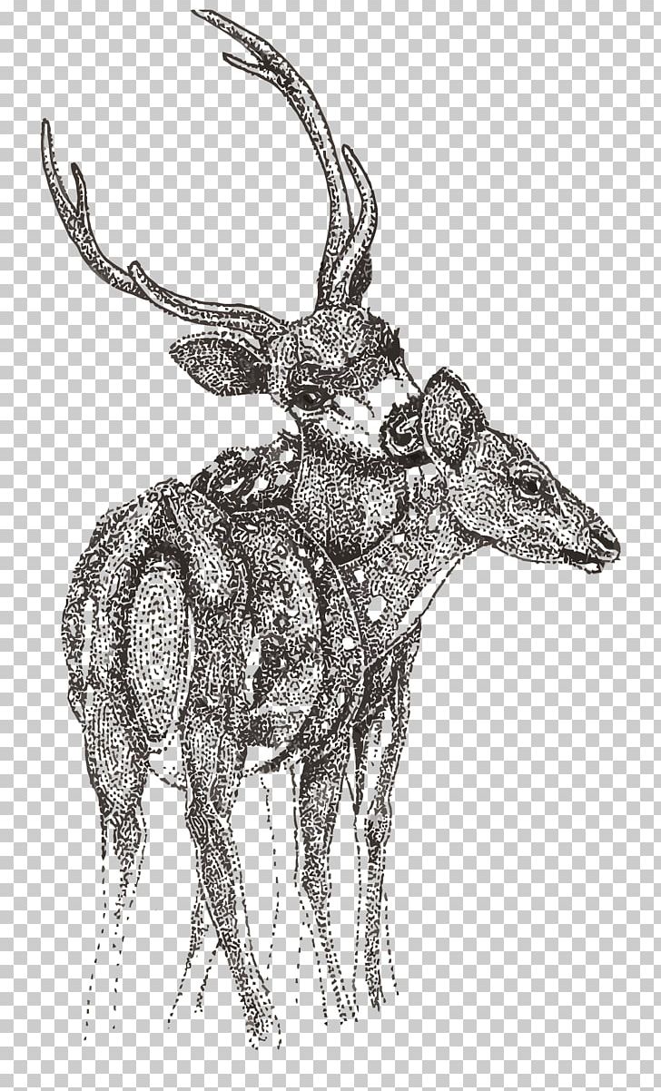 Reindeer Sketch PNG, Clipart, Animals, Antelope, Antler, Christmas Deer, Deer Free PNG Download