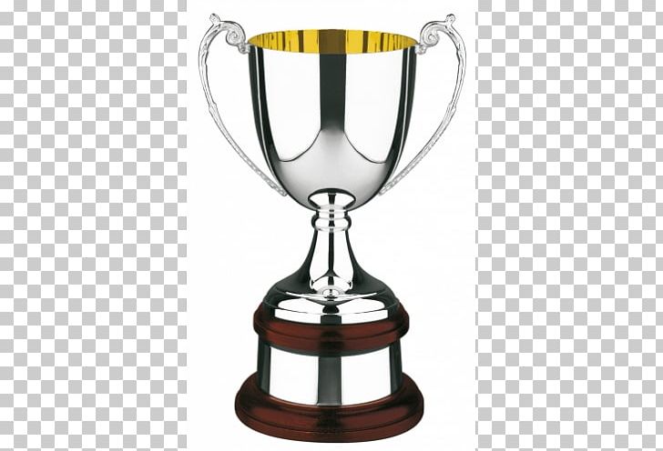 Trophy Award Cup Silver Plating PNG, Clipart, Acrylic Trophy, Award, Commemorative Plaque, Craft, Cup Free PNG Download