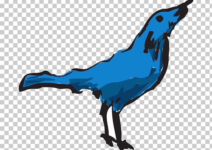 Bird Blue PNG, Clipart, Animals, Artwork, Beak, Bird, Blue Free PNG Download