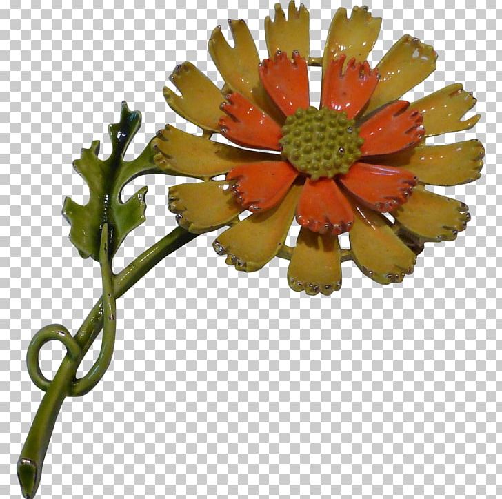 Transvaal Daisy Chrysanthemum Cut Flowers Petal PNG, Clipart, 1960 S, Brooch, Chrysanthemum, Chrysanths, Cut Flowers Free PNG Download