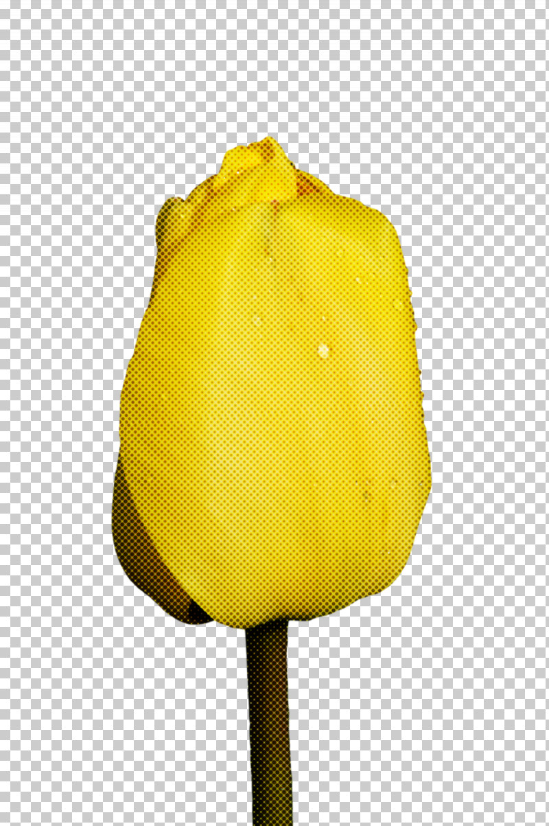 Flower Tulip Petal Yellow Plants PNG, Clipart, Biology, Flower, Petal, Plants, Science Free PNG Download