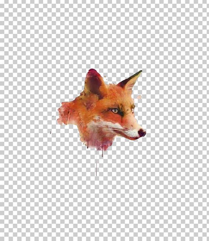 Watercolor Painting Software PNG, Clipart, Animal, Animals, Art, Carnivoran, Colorfulness Free PNG Download