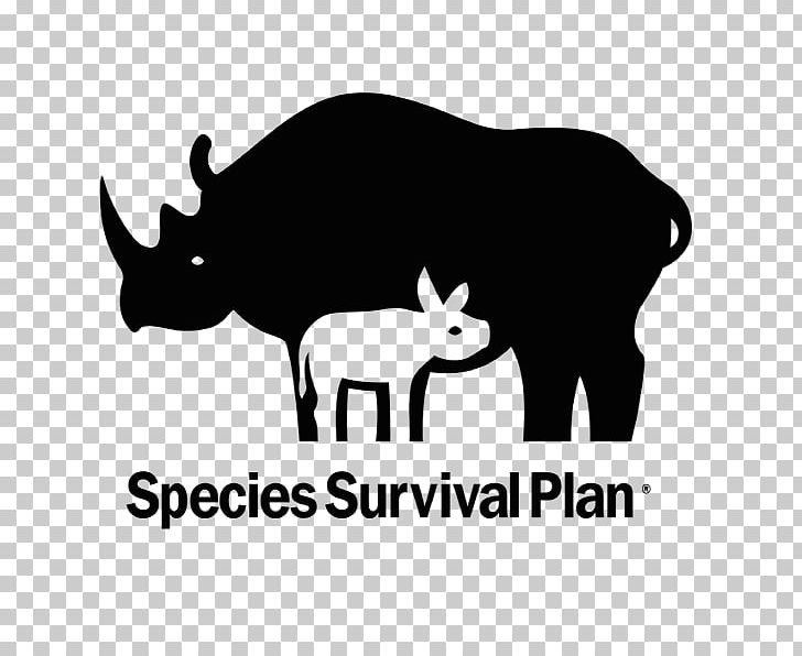 Asian Elephant Endangered Species Species Survival Plan Zoo Red Panda PNG, Clipart, Animal Breeding, Asian Elephant, Association Of Zoos And Aquariums, Black And White, Brand Free PNG Download