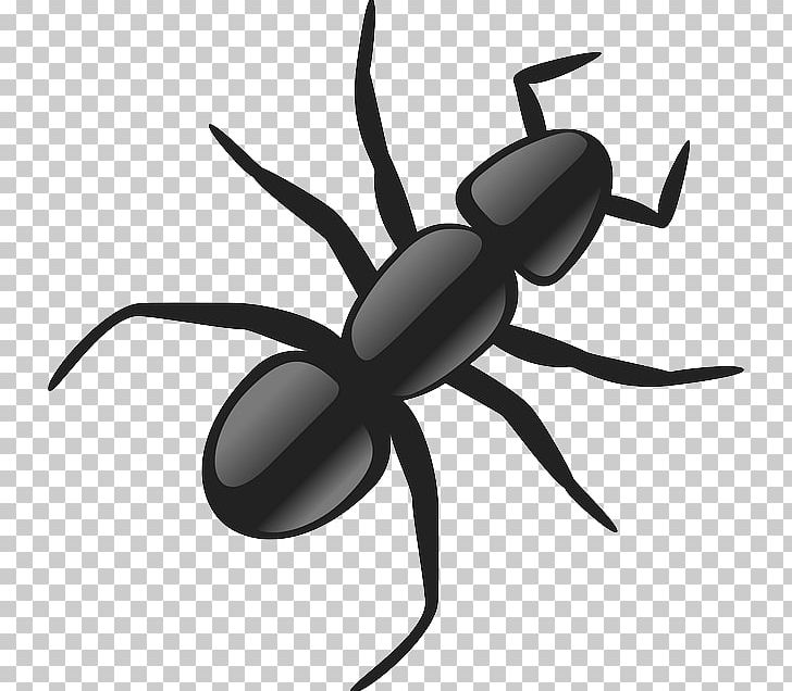 Black Garden Ant PNG, Clipart, Ant, Arthropod, Artwork, Black And White, Black Garden Ant Free PNG Download