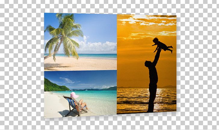 Caribbean Vacation Stock Photography Summer PNG, Clipart, Caribbean, Leisure, Photography, Shore, Sky Free PNG Download