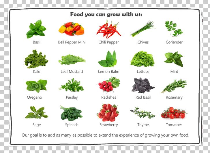 Does This Feel Familiar? Garden Gnome Food Plant PNG, Clipart, Area, Basil, Enjoy Your Meal, Flora, Flower Free PNG Download