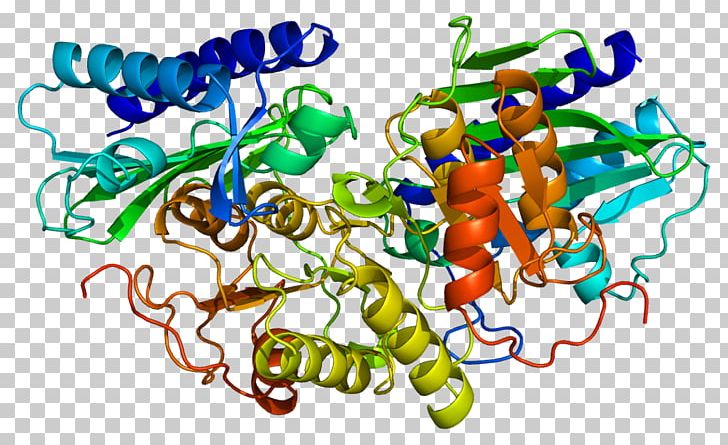 Inositol Monophosphatase 1 Lithium Inositol Monophosphatase 2 PNG, Clipart, As 4, Awb, Bipolar Disorder, Calbindin, Cofactor Free PNG Download