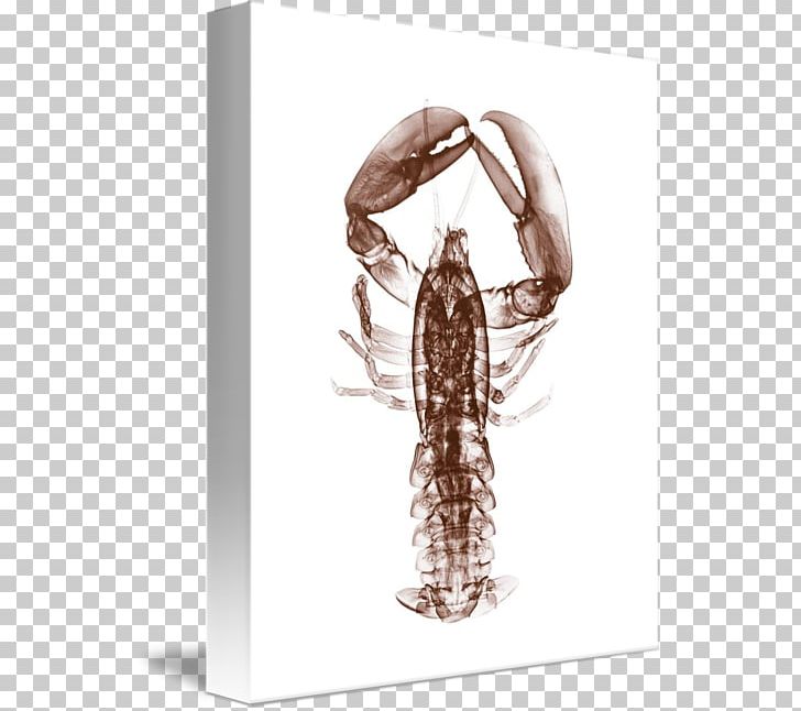 Insect Lobster Decapoda Gallery Wrap PNG, Clipart, Art, Arthropod, Canvas, Decapoda, Gallery Wrap Free PNG Download