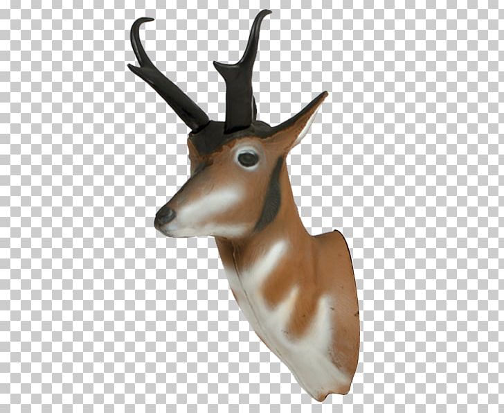 Springbok Pronghorn Antelope Impala Deer PNG, Clipart, Animals, Antelope, Antler, Archery, Arrow Free PNG Download