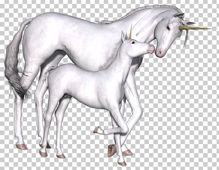 Unicorn Fairy Tale Imaginary Myth Game PNG, Clipart, Drawing, Fairy, Fairy Tale, Fantasy, Fictional Character Free PNG Download