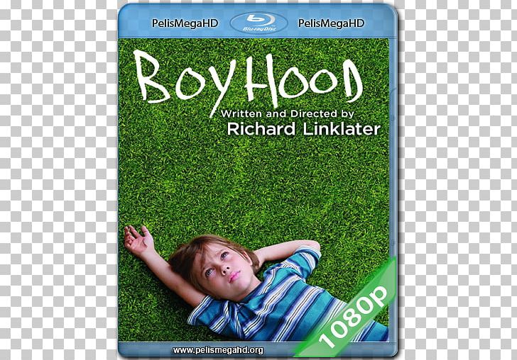 Boyhood Blu-ray Disc Richard Linklater Film Cinema PNG, Clipart, Actor, Bluray Disc, Boyhood, Chapmanleonard Studio Equipment, Cinema Free PNG Download