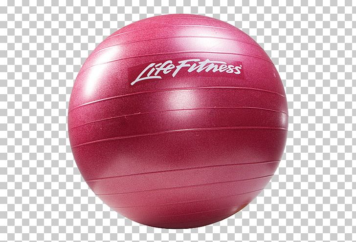 Exercise Ball Physical Exercise Physical Fitness Exercise Equipment Life Fitness PNG, Clipart, Ball, Barbell, Core, Core Stability, Dumbbell Free PNG Download