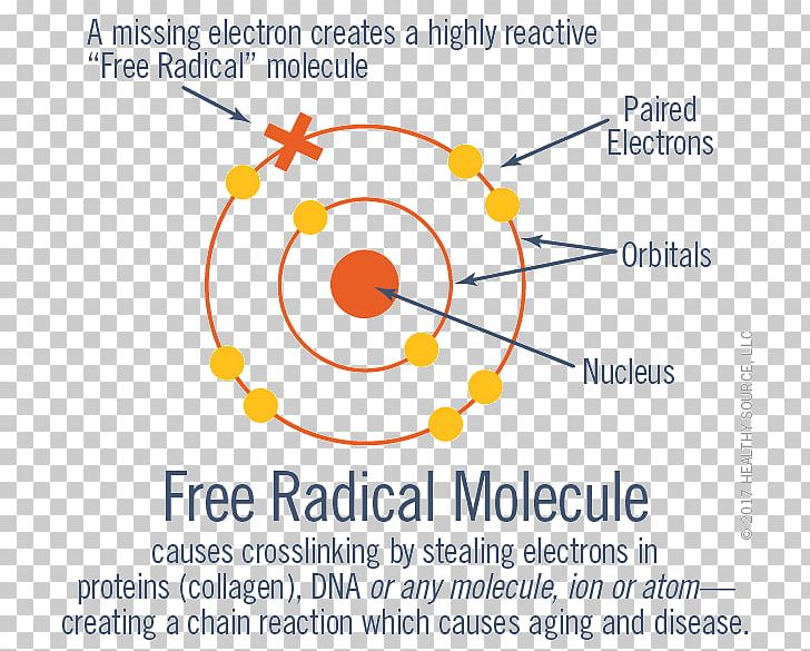 Free-radical Theory Of Aging Ageing Cross-link Molecule PNG, Clipart, Ageing, Angle, Antioxidant, Area, Brand Free PNG Download