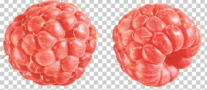 Raspberry PNG, Clipart, Raspberry Free PNG Download