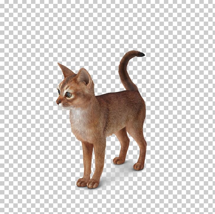 Abyssinian Kitten Whiskers PNG, Clipart, 3d Computer Graphics, Abyssinia, Abyssinian, Animals, Black Cat Free PNG Download