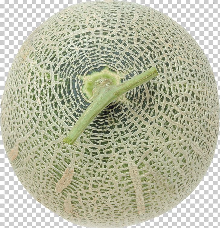 Cantaloupe Honeydew Melon Fruit Eating PNG, Clipart, Auglis, Cantaloupe, Cucumber Gourd And Melon Family, Eating, Food Free PNG Download