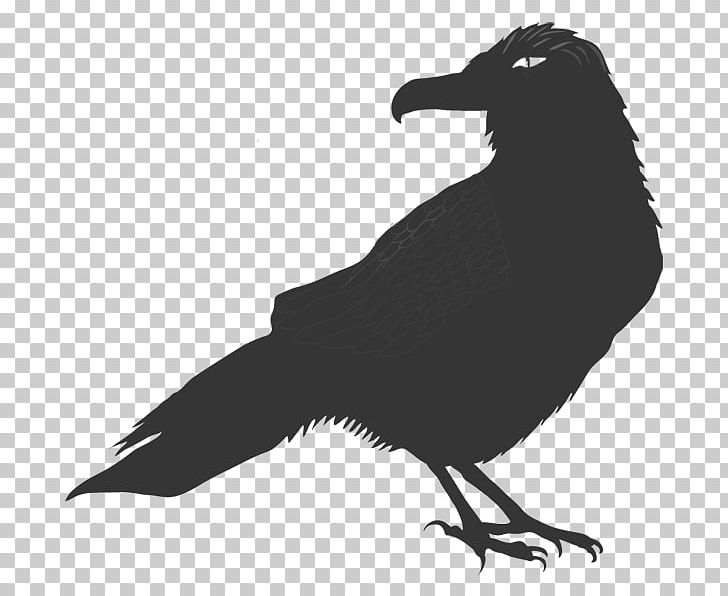 Common Raven Encapsulated PostScript PNG, Clipart, Animals, Beak, Bird, Black And White, Common Raven Free PNG Download