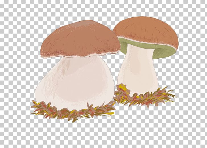 Boletus Edulis Edible Mushroom Drawing PNG, Clipart, Boletus, Cep, Chanterelle, Common Mushroom, Edible Mushroom Free PNG Download