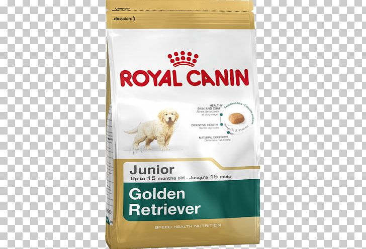 Golden Retriever Labrador Retriever Puppy Cat PNG, Clipart, Animals, Breed, Carnivoran, Cat, Dog Free PNG Download