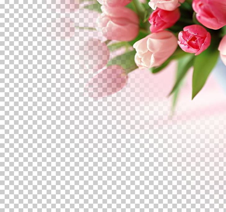 Romance PNG, Clipart, Adobe Illustrator, Bouquet Of Flowers, Bunch, Encapsulated Postscript, Floral Design Free PNG Download
