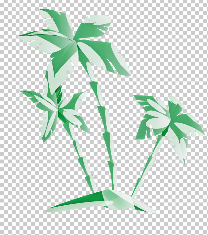 Palm Tree PNG, Clipart, Arecales, Flower, Green, Leaf, Palm Tree Free PNG Download