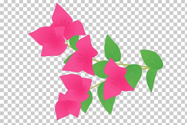 Bougainvillea Petal Cut Flowers Plant Stem PNG, Clipart, Bougainvillea, Cut Flowers, Flora, Flower, Flowering Plant Free PNG Download