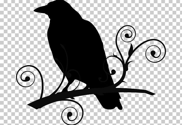 Common Raven The Raven Baltimore Ravens PNG, Clipart, Artwork, Baltimore Ravens, Beak, Bird, Black Free PNG Download