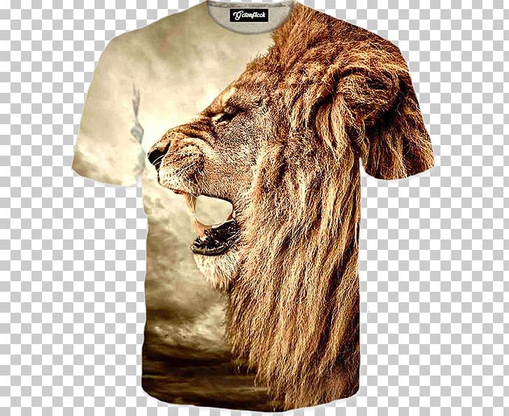 Lion Park Aslan Lion's Roar Hoodie PNG, Clipart, Allposterscom, Animals, Aslan, Big Cats, Bluza Free PNG Download