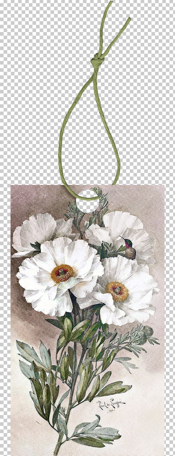 Poppy Romneya Watercolor Painting Botanical Illustration PNG, Clipart, Artificial Flower, Cartoon Rope, Flower, Flower Arranging, Hemp Rope Free PNG Download
