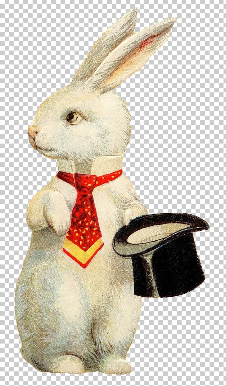 White Rabbit Easter Bunny European Rabbit Top Hat PNG, Clipart, Alice In Wonderland, Animals, Domestic Rabbit, Easter, Easter Bunny Free PNG Download