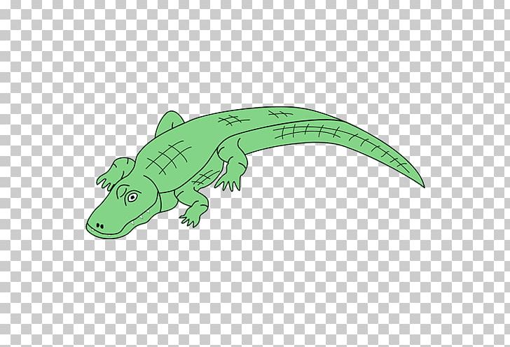 Alligator Crocodile PNG, Clipart, Alligator, Amphibian, Animal Figure, Animation, Blog Free PNG Download