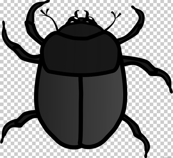 Open Illustration Free Content Beetle PNG, Clipart, Amaze, Animal, Animals, Art, Artwork Free PNG Download