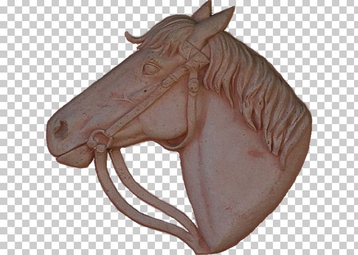 Rein Halter Bridle Saddle Sadio Mané PNG, Clipart, Bridle, Halter, Horse, Horse Like Mammal, Horse Tack Free PNG Download