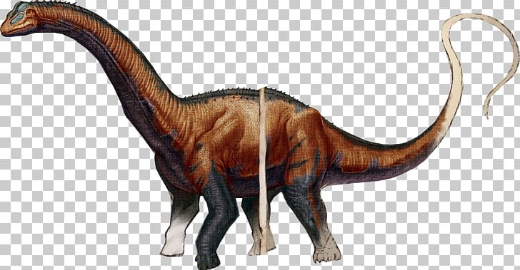 ARK: Survival Evolved Brontosaurus Stegosaurus Allosaurus Tyrannosaurus PNG, Clipart, Animal, Animal Figure, Ankylosaurus, Ark Survival Evolved, Brontosaurus Free PNG Download