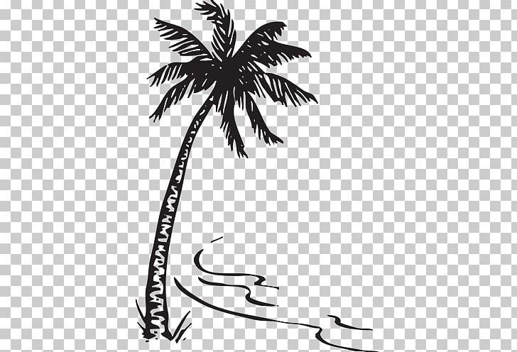 Guinguette De Berguerolles Palm Trees Baby Announcement Saint-Ambroix PNG, Clipart, Arecales, Baby Announcement, Black And White, Branch, Drawing Free PNG Download