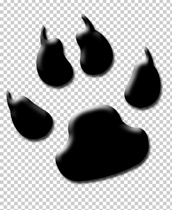 Lion Tiger Cougar Paw PNG, Clipart, Black And White, Claw, Computer Wallpaper, Cougar, Drawing Free PNG Download