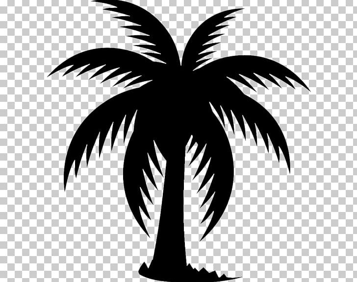 Arecaceae Date Palm Tree PNG, Clipart, Arecaceae, Arecales, Black And White, Branch, Date Palm Free PNG Download