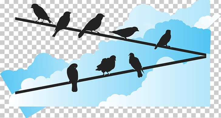 Bird Euclidean Wire PNG, Clipart, Angle, Animals, Beak, Bird, Bird Cage Free PNG Download