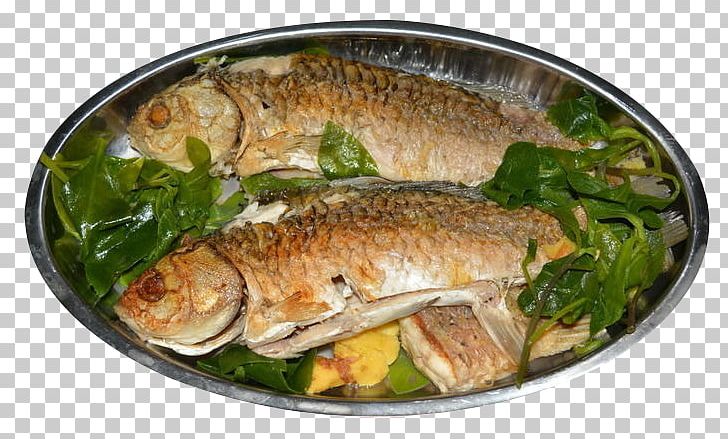 Fish Dish Cooking Cuisine PNG, Clipart, Animal Source Foods, Boiling, Care, Cooking, Cuisine Free PNG Download