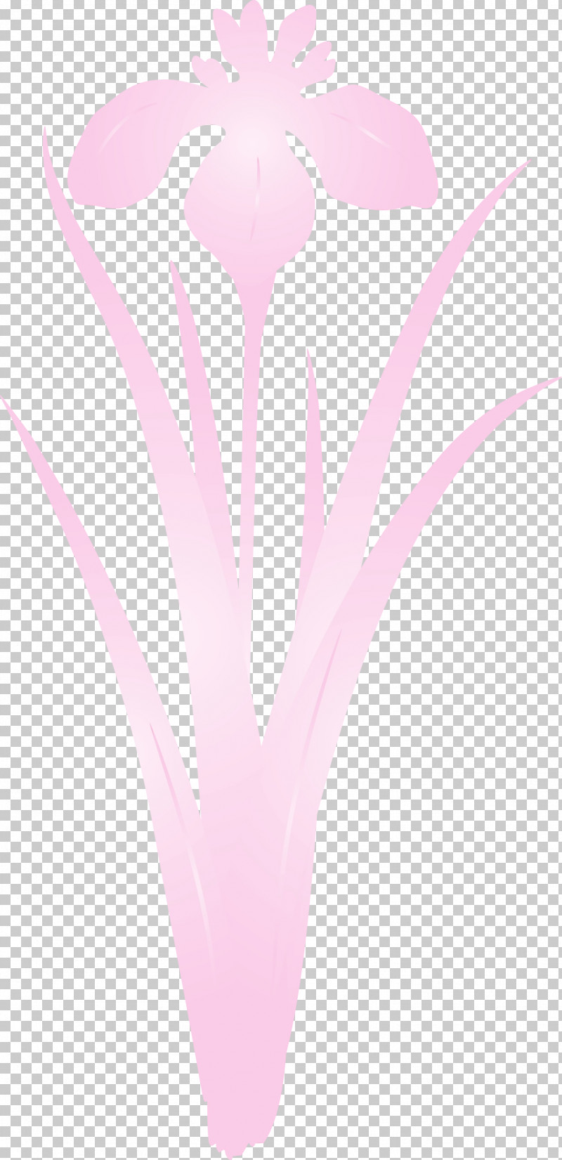 Pink Plant Petal Heart Flower PNG, Clipart, Flower, Heart, Iris Flower, Paint, Petal Free PNG Download