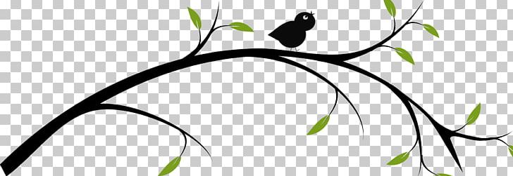 Drawing Branch Tree PNG, Clipart, Art, Artwork, Beak, Bird, Black And White Free PNG Download