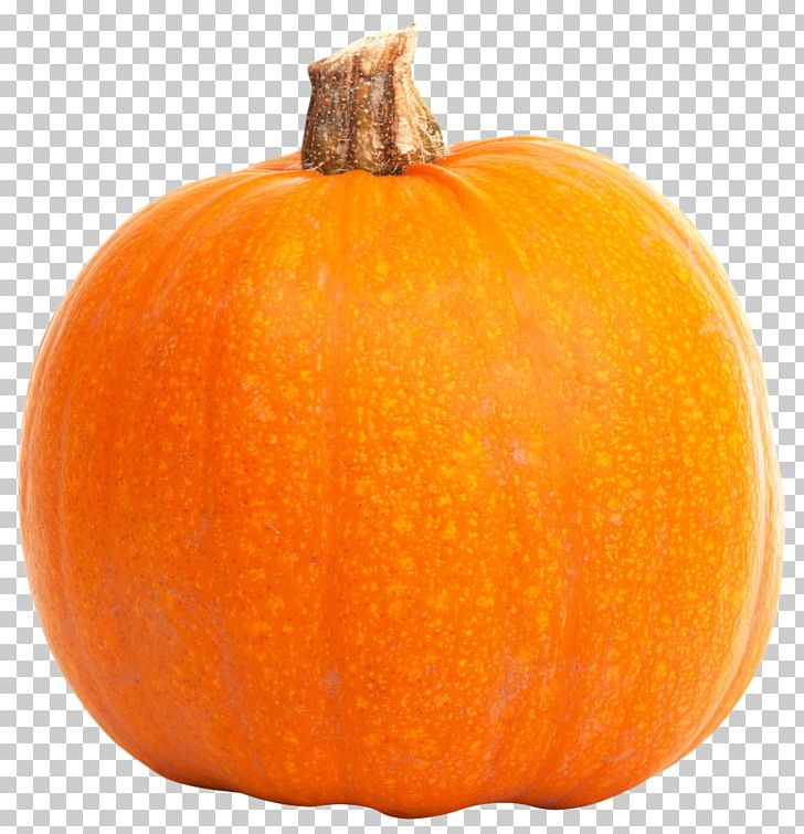 Jack-o-lantern Calabaza Gourd Winter Squash Orange PNG, Clipart, Calabaza, Commodity, Cucumber, Cucumber Gourd And Melon Family, Cucurbita Free PNG Download