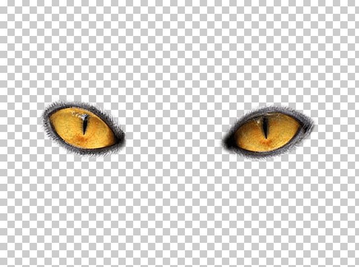 Cat's Eye PNG, Clipart, Animation, Away, Beer, Bicolor Cat, Birthday Free PNG Download