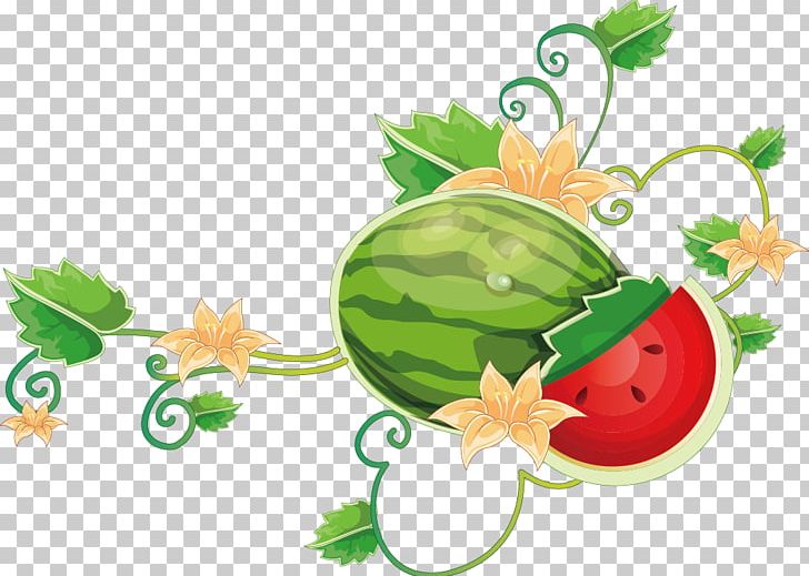 Common Grape Vine Wine Watermelon PNG, Clipart, Boy Cartoon, Cartoon Character, Cartoon Couple, Cartoon Eyes, Cartoons Free PNG Download