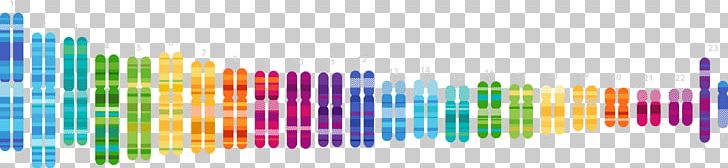 Human Genome Project 23andMe Genetic Testing Genetics DNA PNG, Clipart, 23andme, Angle, Anne Wojcicki, Brca Mutation, Company Free PNG Download