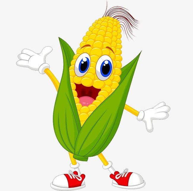 Cartoon Corn PNG, Clipart, Cartoon, Cartoon Clipart, Cartoon Clipart, Cartoon Corn, Corn Free PNG Download